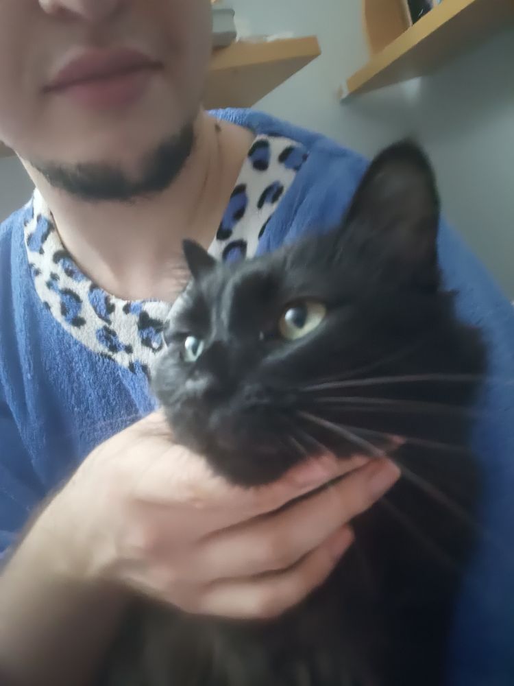 Estoy acariciando la barbilla de Miku, está con los ojos abiertos