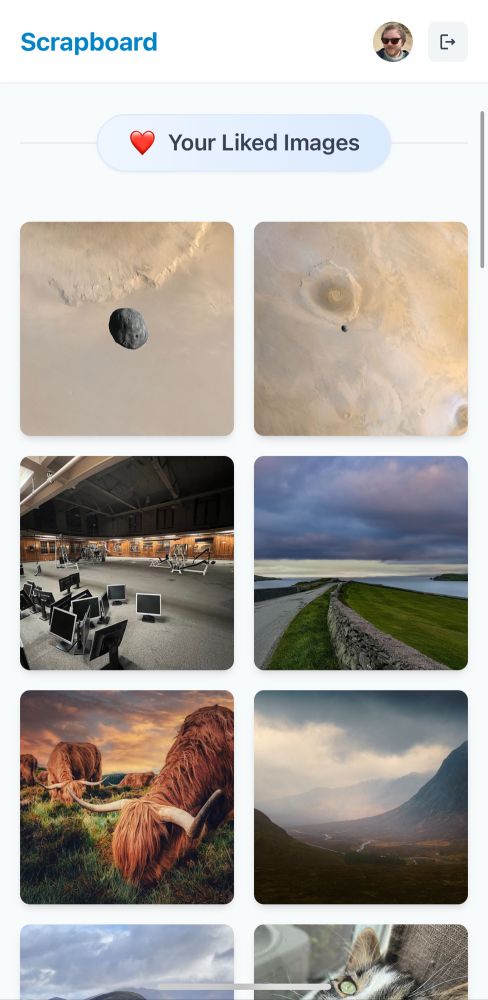 Screenshot showing a grid of images from liked posts in Scrapboard app