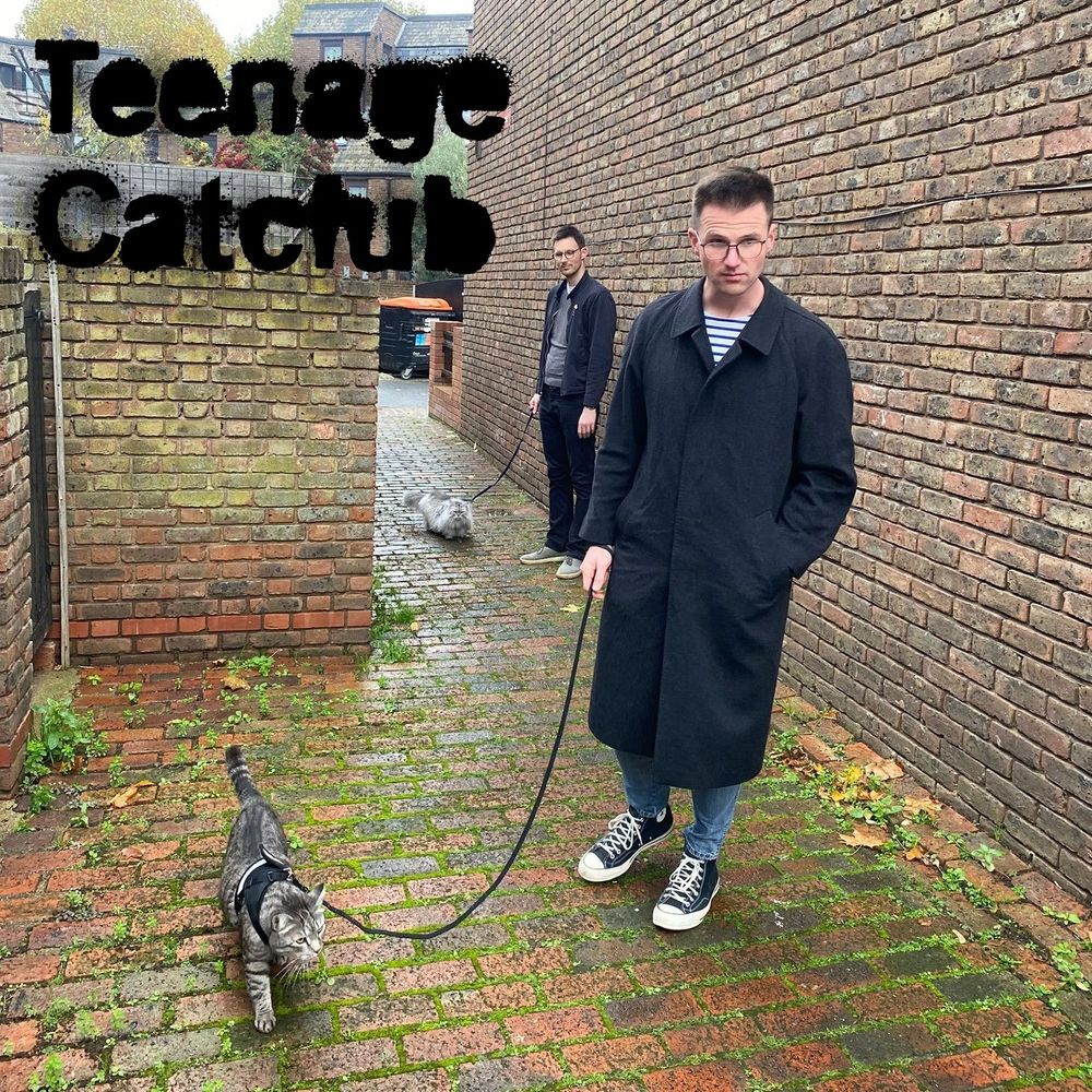 Teenage Catclub