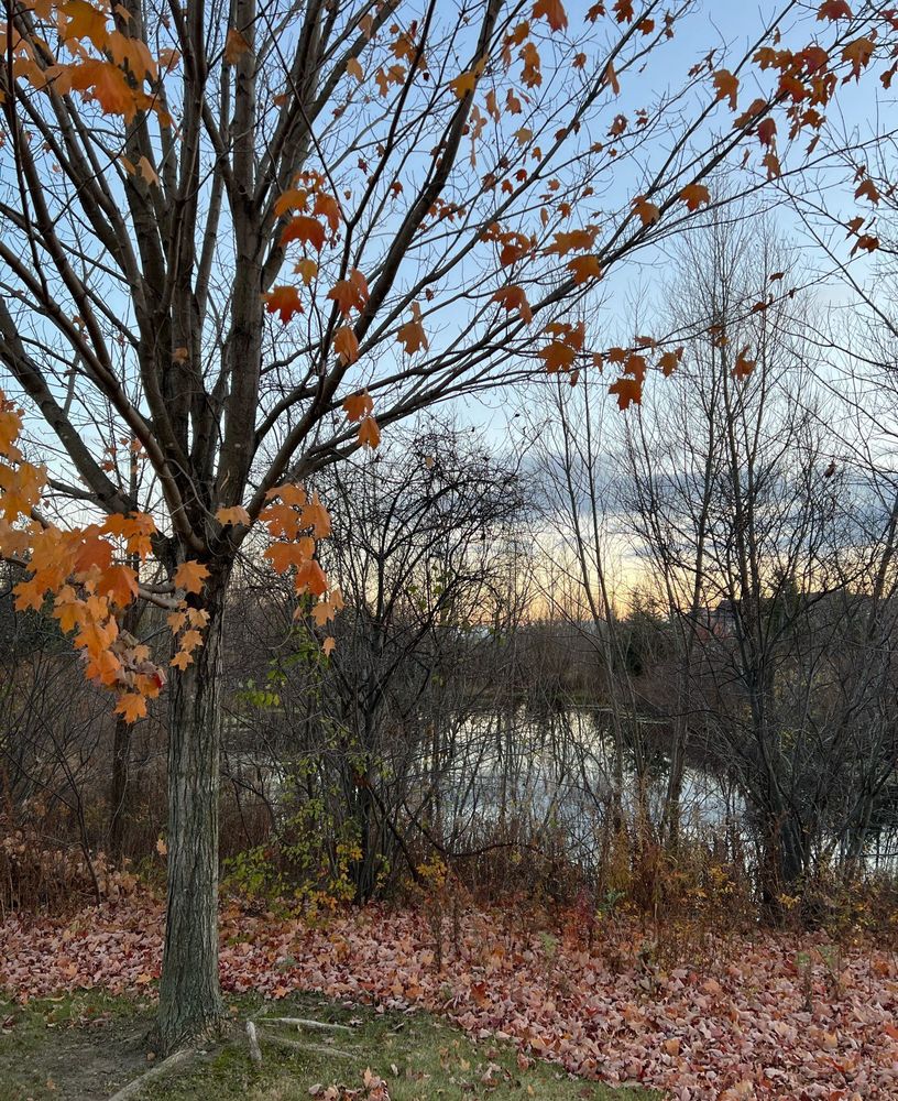 Sunset on a warm autumn day.   The sun reflects her beauty on the trees and cast its shadow on the pond.  Nature’s glory at its best as the sun sets peacefully for another day.
