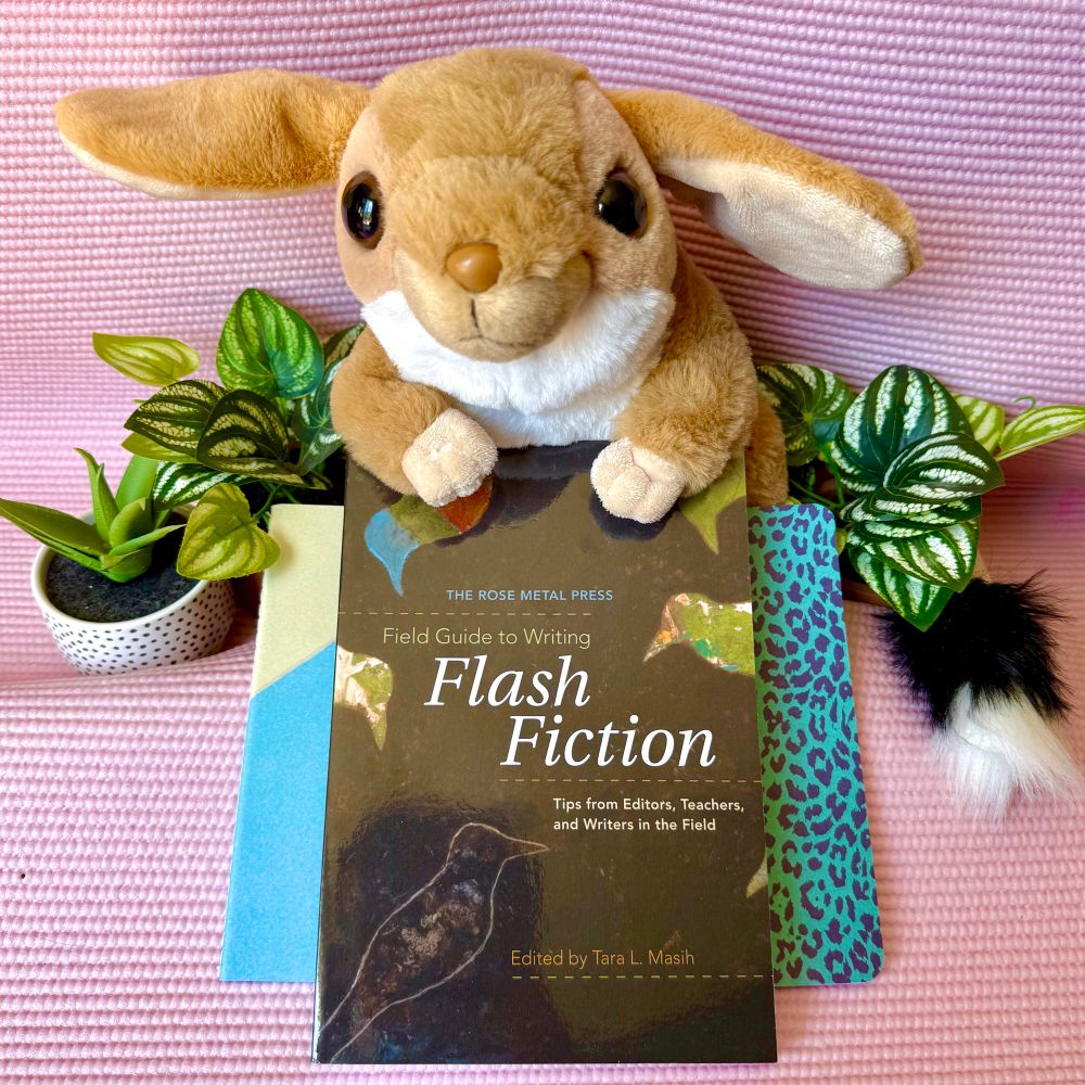 Picture of a stuffed animal jerboa on a pink background, with fake green plants sitting near it. The jerboa is holding the book “The Rose Metal Press Field Guide to Writing Flash Fiction” in its lap. 