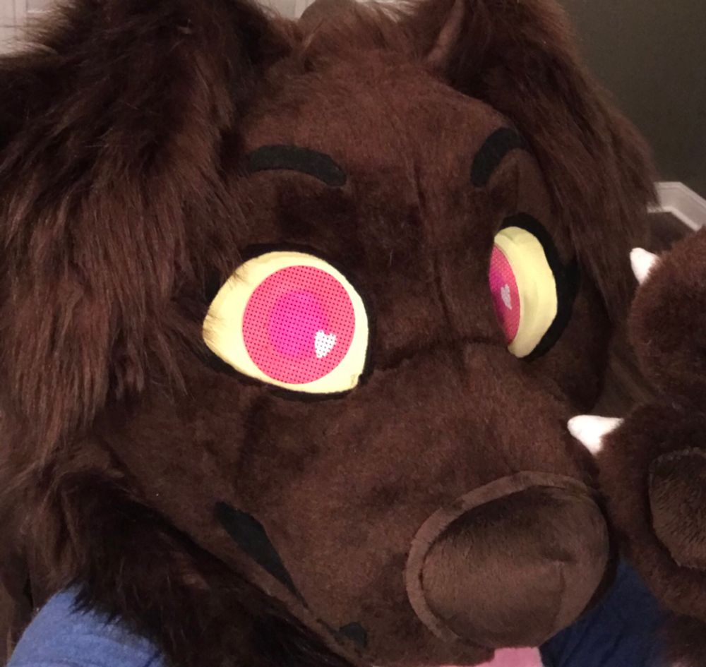 Selfie of a chocolate Labrador fursuit. The eye whites are yellow and the iris and pupils are pink. There is a heart shaped eye shine in the eye. There is a hand paw visible. The claws are white.