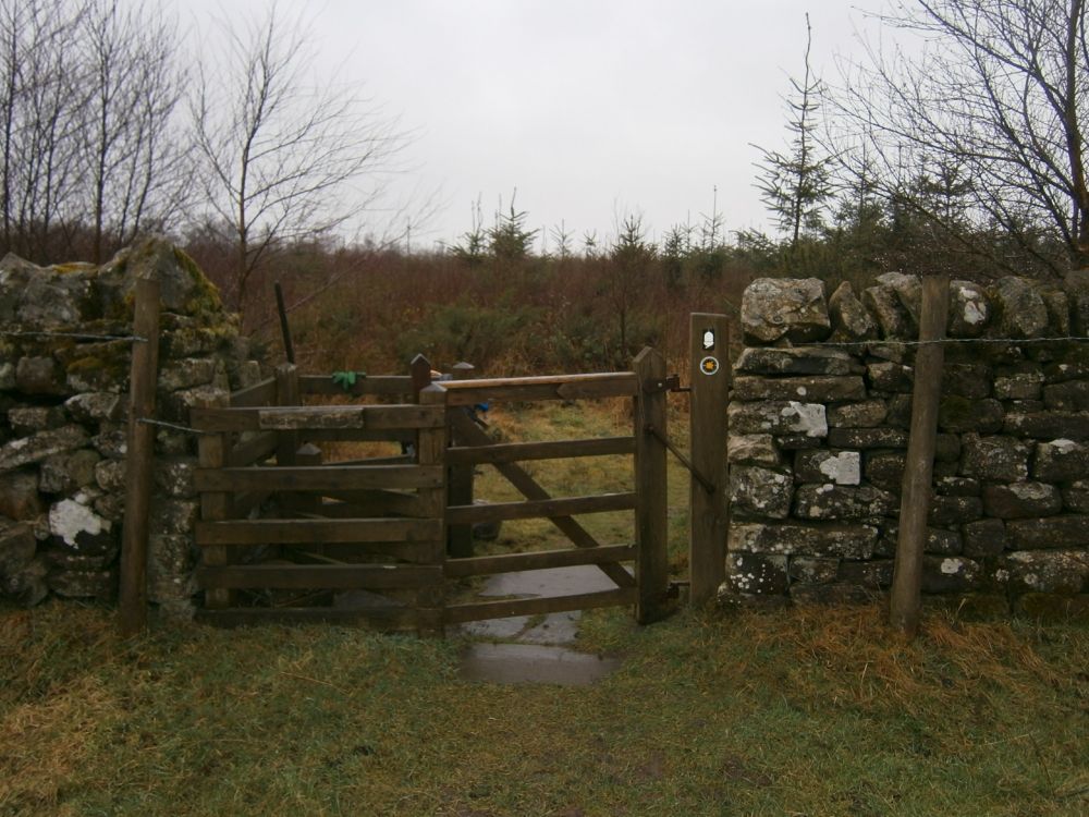 East end Kissing gate into Stanley Plantation in Wall mile 23.