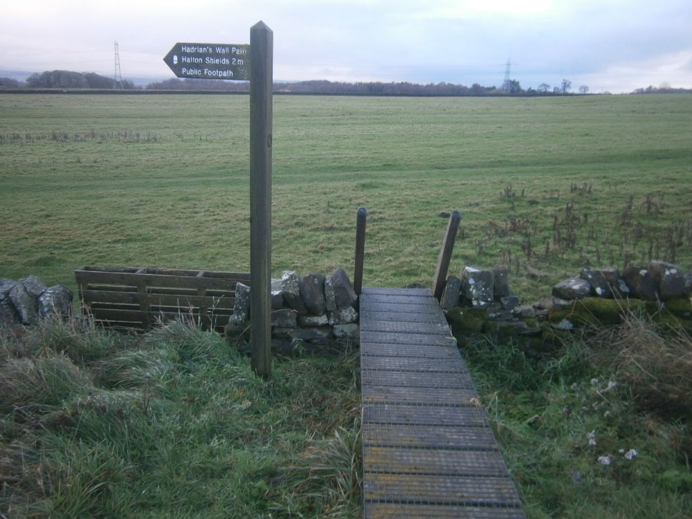 Walk 84 of the year out on Portgate to Heavenfield section of Hadrian's Wall Path National Trail, this morning 24/11/2025). Today I have mostly been raking flat the mole hills and litter picking. Wall mile 22, walked a bit further east off my patch to pick up litter I spotted.