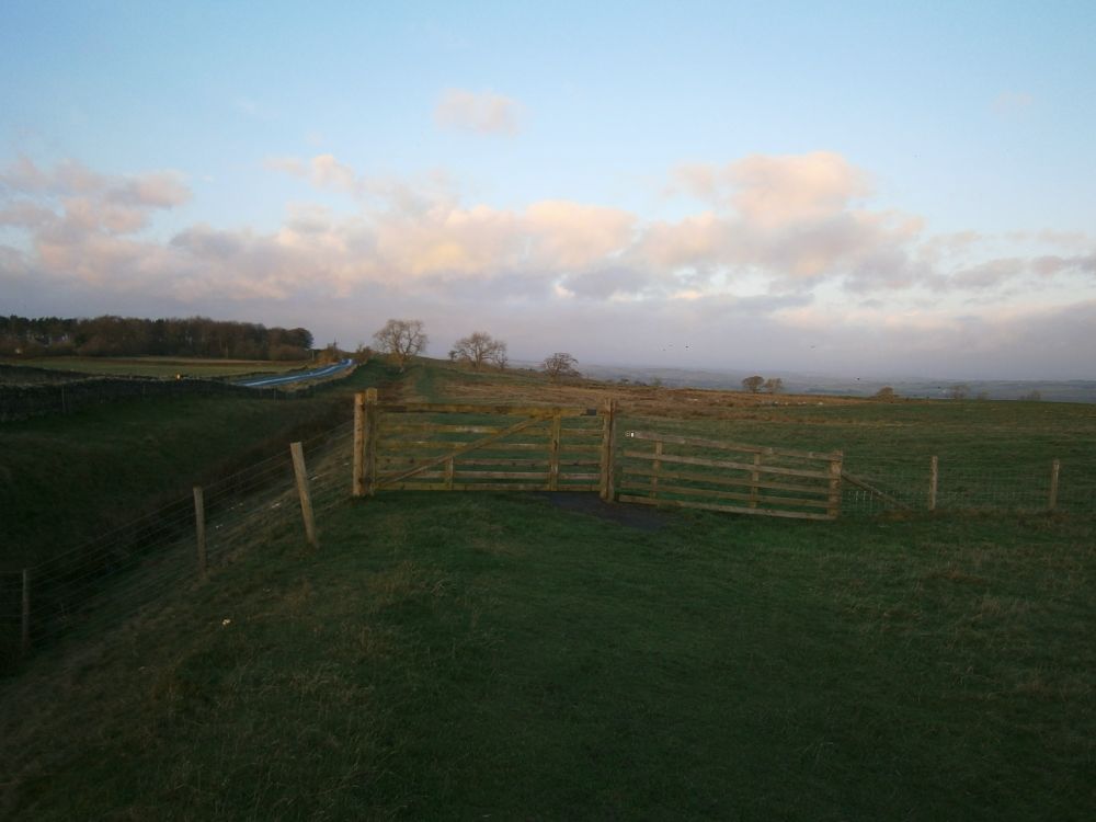 Walk 86 of the year out on Portgate to Heavenfield section of Hadrian's Wall Path National Trail, this morning 28/11/2025). Today I have mostly been raking up leaves, raking flat mole hills, brushing down stiles and litter picking. Wall mile 24, walking west.