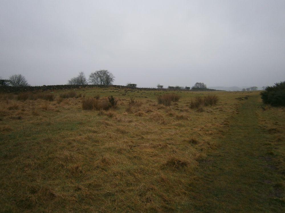 Looking across to the site of Milecastle 23.
