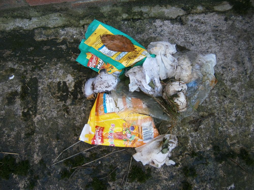Work carried out on the Trail. December 2025: Portgate to Heavenfield section of Hadrian's Wall Path National Trail. Clearing leaves, clearing Trail, raking flat mole hills and litter picking. Litter picking along the Trail.