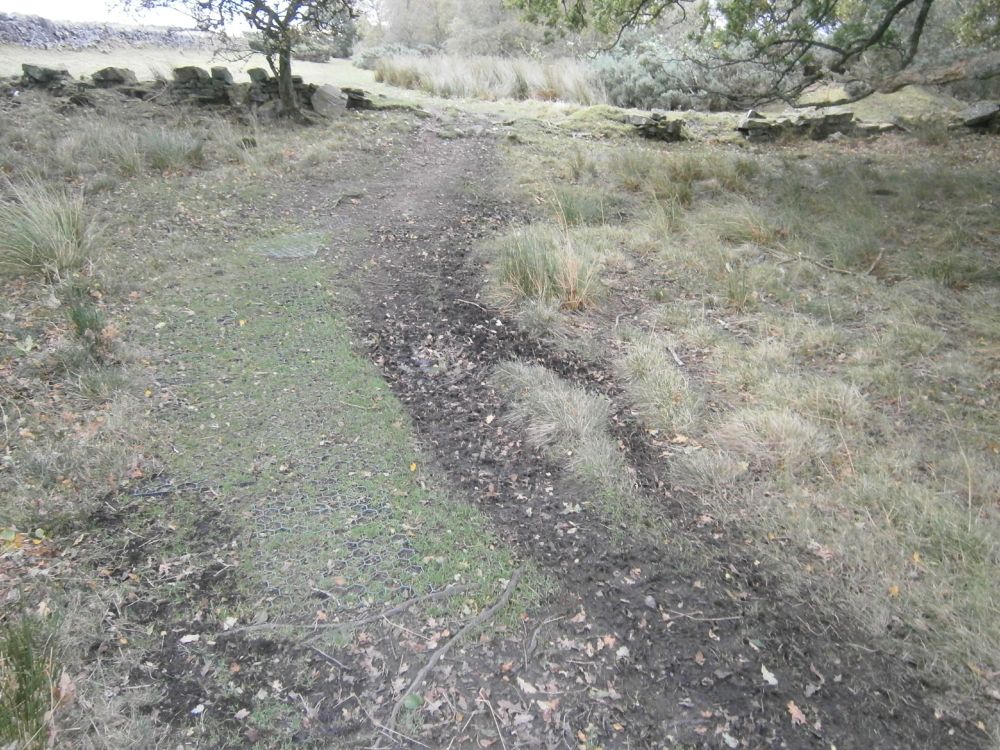 Walk 66 of the year out on Portgate to Heavenfield section of Hadrian's Wall Path National Trail, this morning (07/10/2025). Little bit of work done to keep everything tidy, brushing down stiles, litter picking and raking leaves. Wall mile 23, beside the north mound of the Vallum. Raked leaves and tied up around plastic matting under the trees.