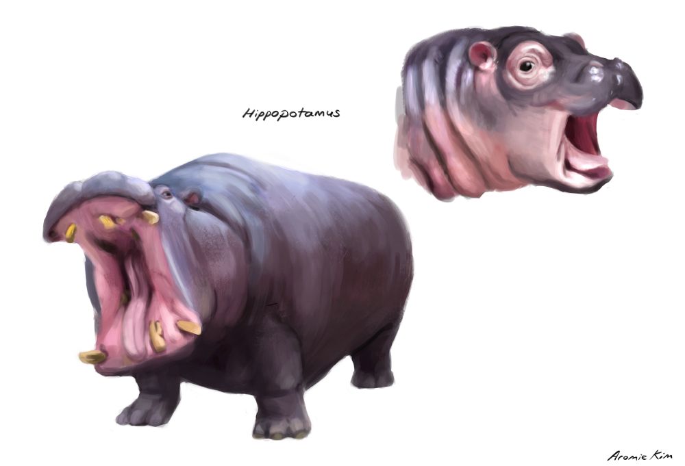 Paintings of a baby hippo head and a full-grown hippo
