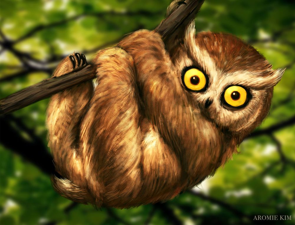 An illustration of a fantastical creature that resembles a sloth / koala with an owl face. It hangs on a branch amidst a leafy background, staring at the viewer with large yellow eyes