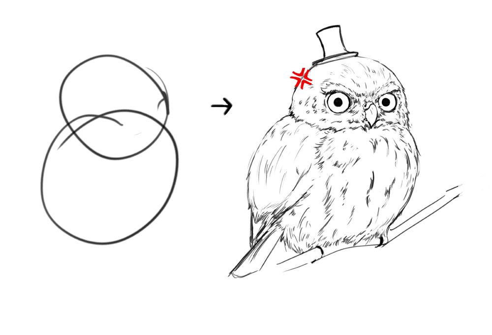 On the left are two roughly drawn circles. On the right is a sketch of a pygmy owl sitting on a branch, wearing a tiny top hat and with an angry vein mark on the side of its head