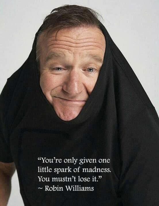 A photo of Robin Williams quoting him as saying "You're only given one little spark of madness. You mustn't lose it."