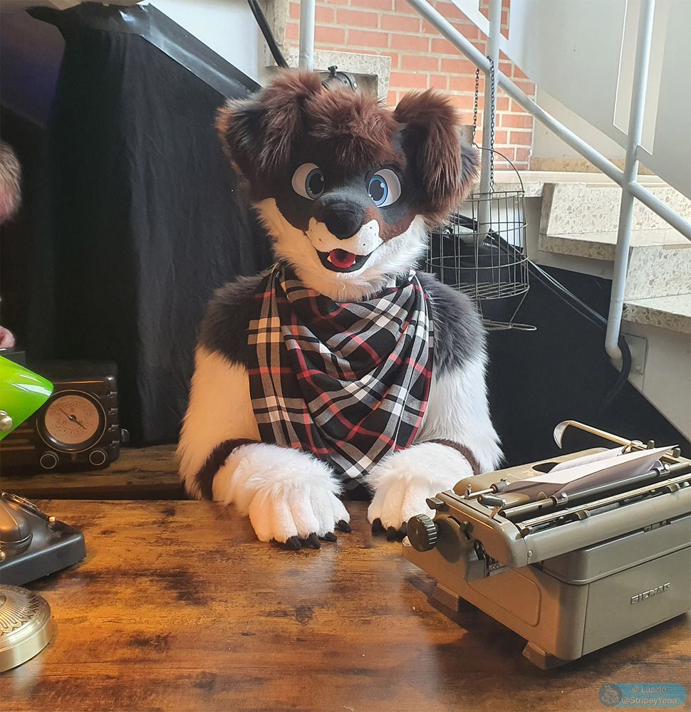 Photo of Taki, the fluffy, floppy-eared border collie fursuiter, sitting at a desk in front of a typewriter, obviously knowing exactly what he's doing.