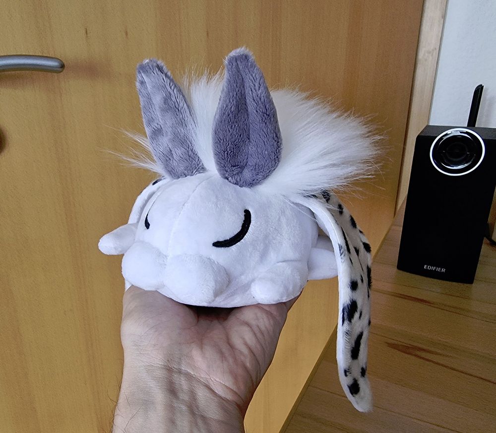 Compilation of photos showing a plush moth from various angles.