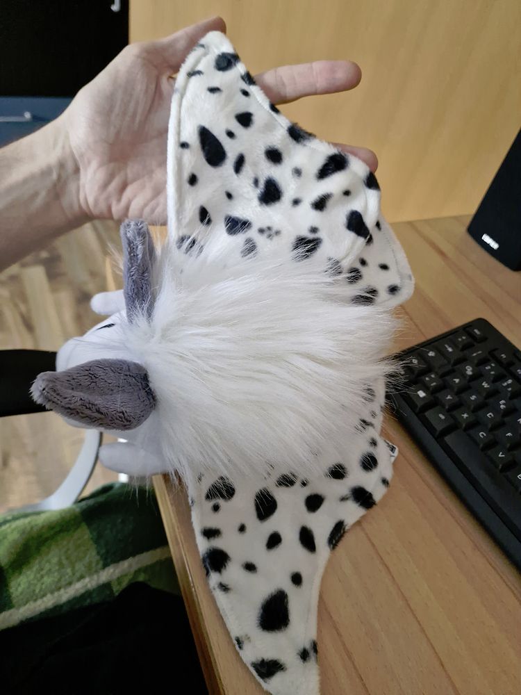 Compilation of photos showing a plush moth from various angles.
