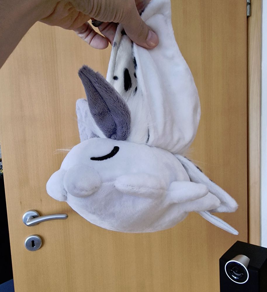 Compilation of photos showing a plush moth from various angles.