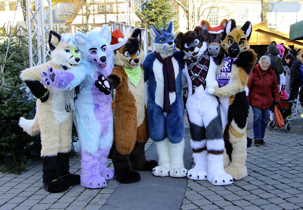 Photo of a group of fursuiters posing at a Christmas Market in a town square.