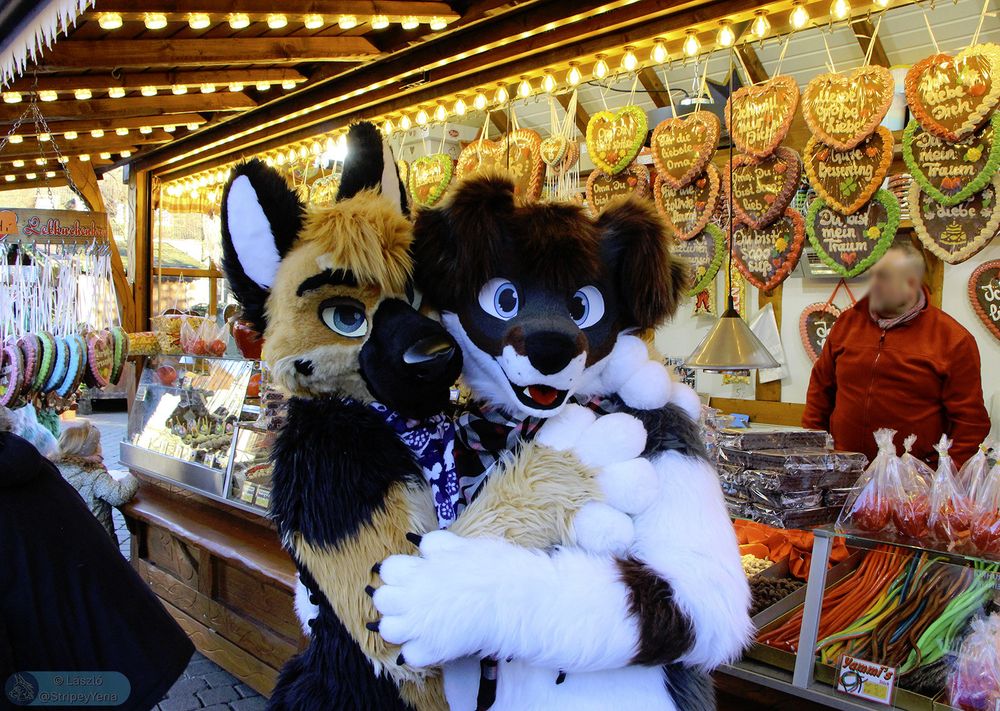 Photo of two fursuiters, a g-shep (Himaru) and a border collie (Takeru) hugging in front of a Christmas Market stand selling many sweet things. Not as sweet as these two though.