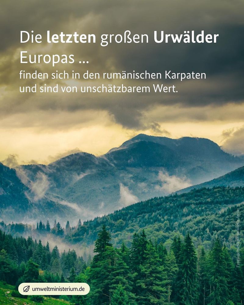 Foto der Karpaten