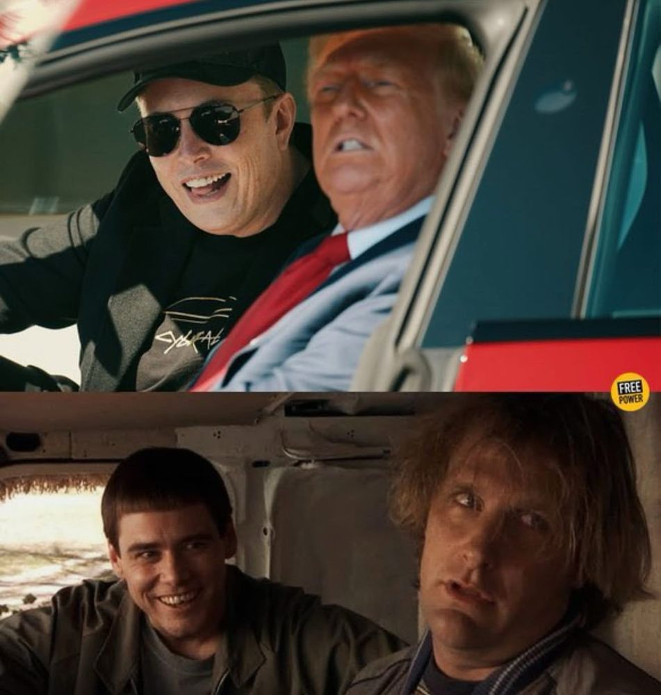 Elonia and dumbold dump
As dumb and dumber