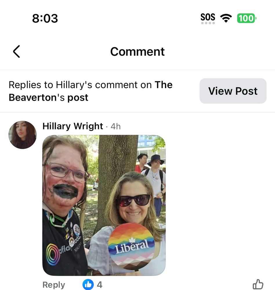 A LGBTQ meme meant to mock liberals.