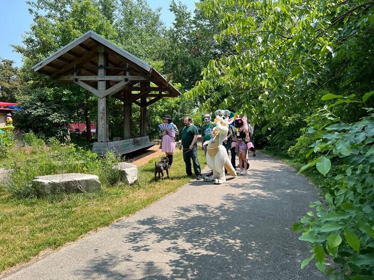 A photo from the Beerline Trail, with a group of furries checking things out