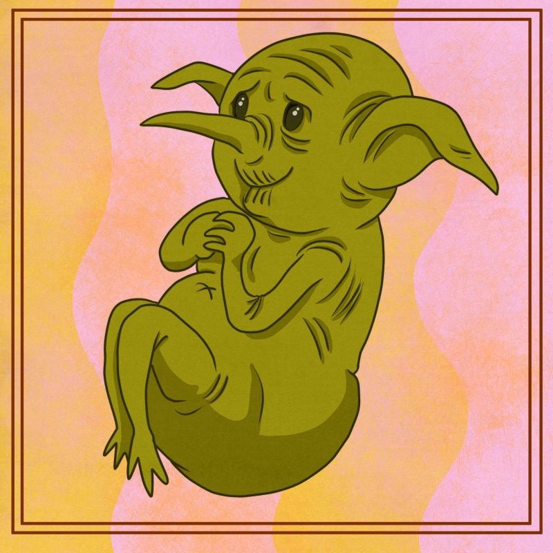 Drawing of a wizened old goblin floating on a pink and orange background.