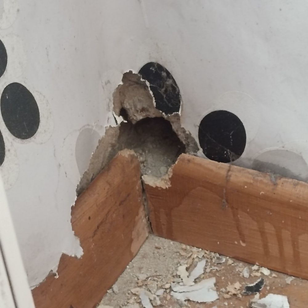A hole in a wall that was made by rats