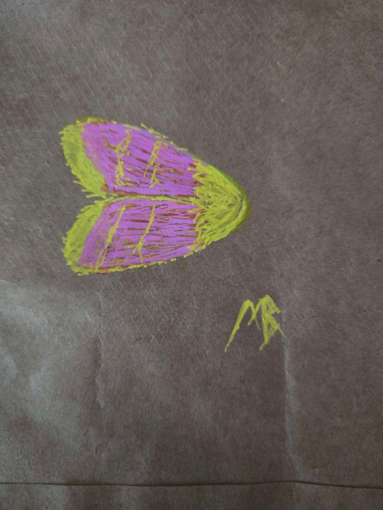 A marker drawing of a Primrose Moth