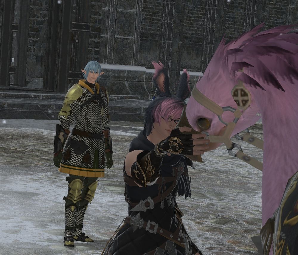 Front view of same shot but this time we can see that Ziero is praising his pink chocobo Udon for making the long trip safely to Camp Dragonhead. In the back we see a yet to be revealed House Fortemps knight.

"Good boy, Udon. Thank you as always, and you can be sure you'll get so many treats when we get back home"