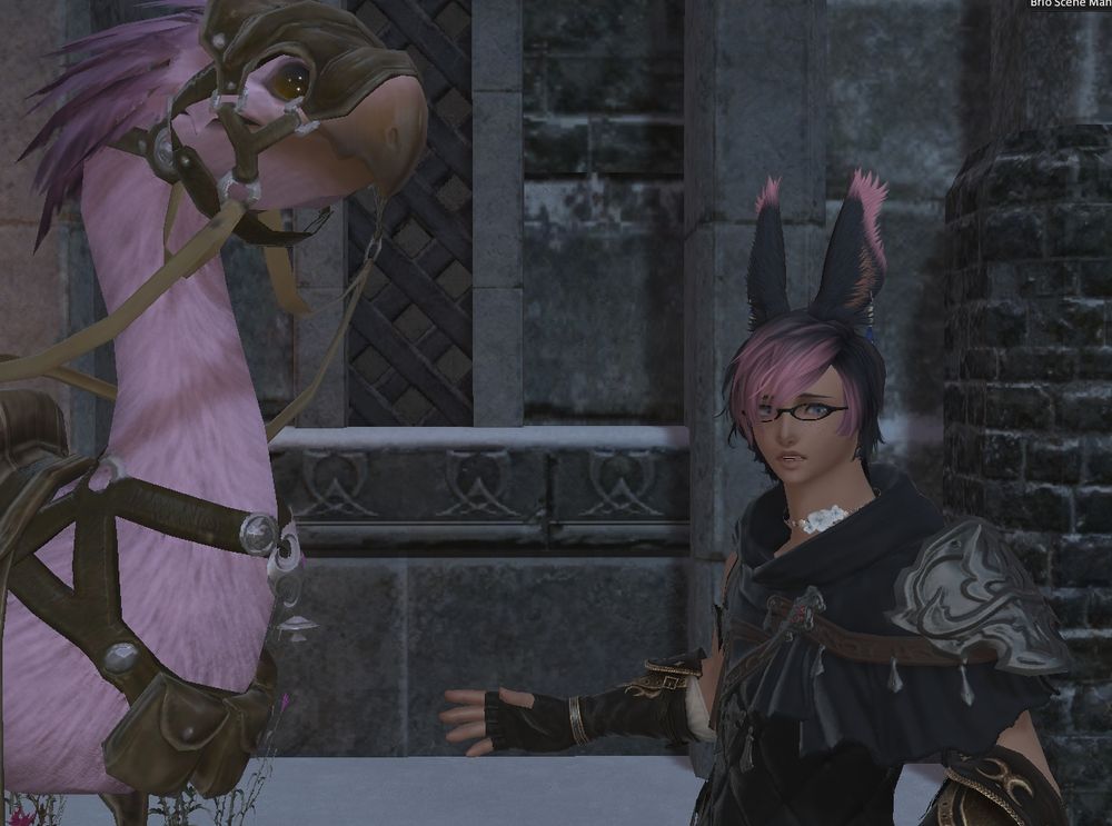 Ziero is startled as the knight approaches, worried with everything going on that they may think he's here for nefarious purposes. Udon, however, seems unruffled and interested. The man smells like Gyshal greens and snow.