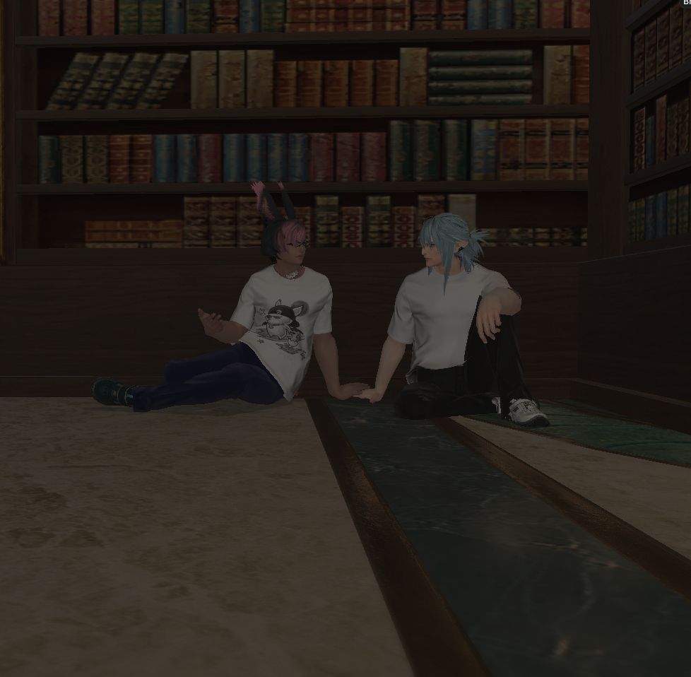 Ziero and Haurchefant sitting in the corner of a library, discussing some topic of interest! Both are wearing a casual t-shirt, Ziero's with a moogle on it and Haurchefants a simple white tee