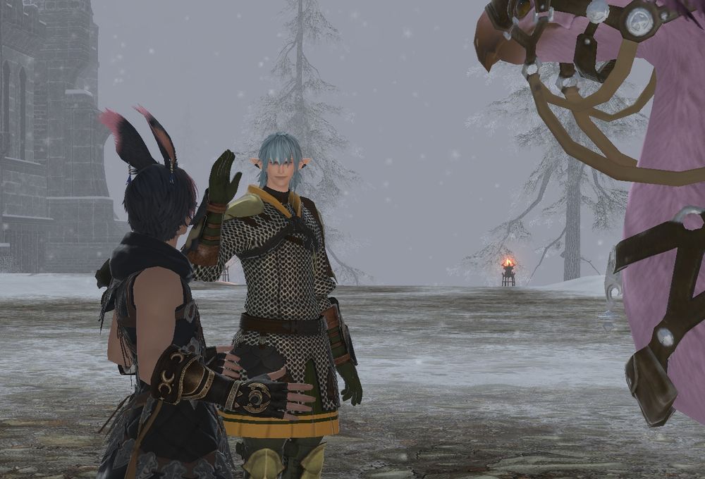 "Greetings! I am Haurchefant Greystone, knight of House Fortemps and overseer of Camp Dragonhead!"

Ziero, while still shocked, can feel a faint flutter in his chest as once they speak more, he starts to develop a crush while working alongside Haurchefant to clear Lord Francel's name.