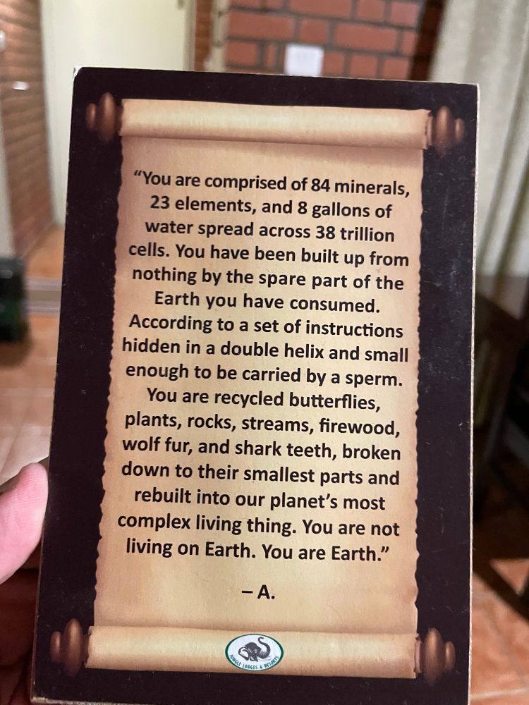 "You are comprised of 84 minerals, 23 elements, and 8 gallons of water spread across 38 trillion cells. You have been built up from nothing by the spare part of the Earth you have consumed.
According to a set of instructions hidden in a double helix and small enough to be carried by a sperm.
You are recycled butterflies, plants, rocks, streams, firewood, wolf fur, and shark teeth, broken down to their smallest parts and rebuilt into our planet's most complex living thing. You are not living on Earth. You are Earth."