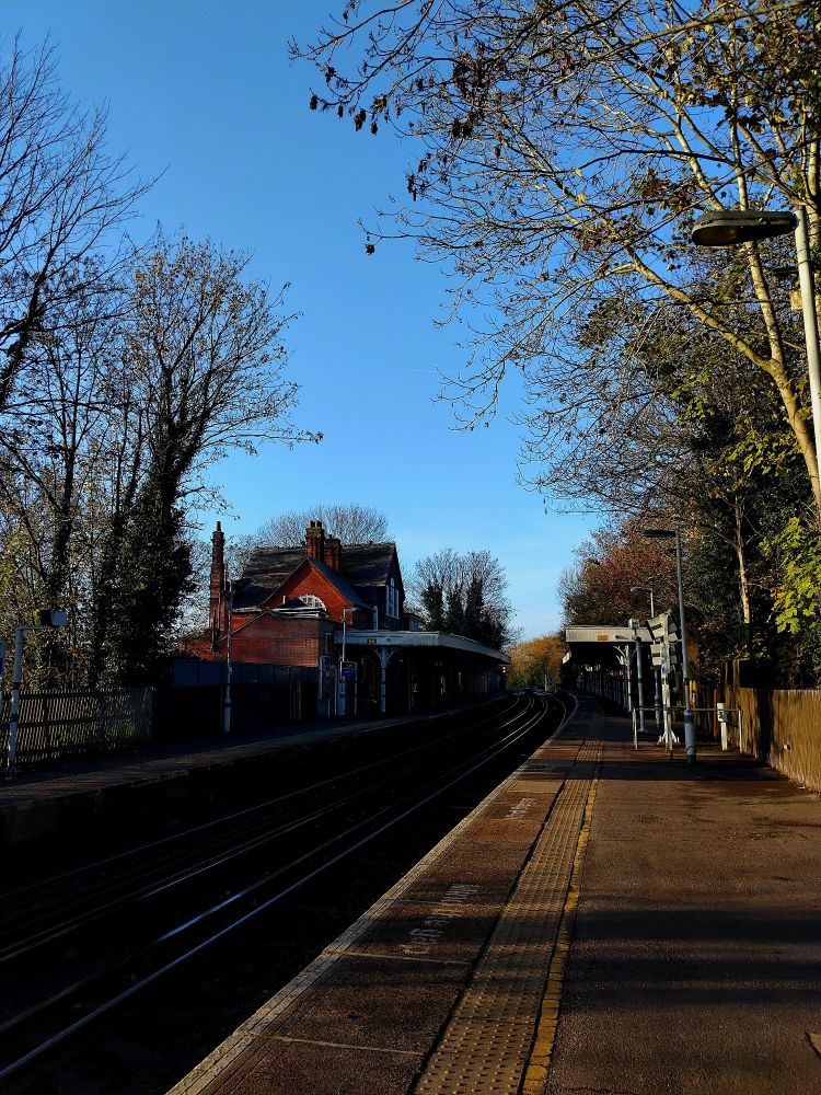 Looking southwards from the platform at Carshalton Village station. Trees stand tall against a cobalt sky.