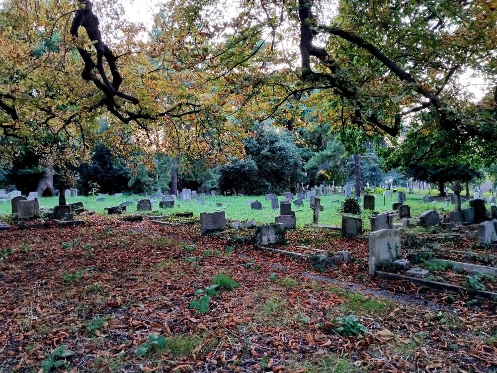 Local graveyard, fallen brown leaves, a strip of bright grass, dotted with headstones, then the colours of the leaves still on the trees. 