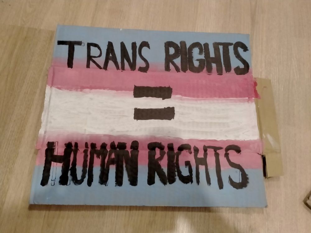 A sign made from cardboard that says TRANS RIGHTS = HUMAN RIGHTS. The background is the trans flag
