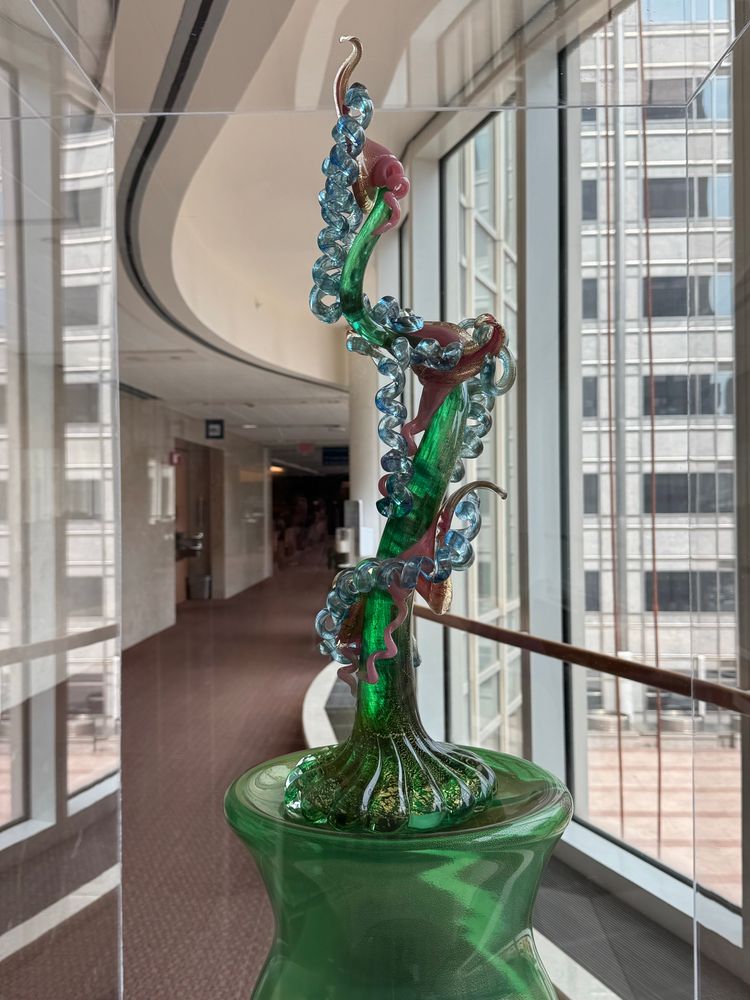 A whimsical vining glass sculpture, appears to be a twisting green stalk wrapped by blue extra twisty vines and red straighter vines, all on a green base. Behind is a curved hallway inside and windows of the building across the street through the glass 