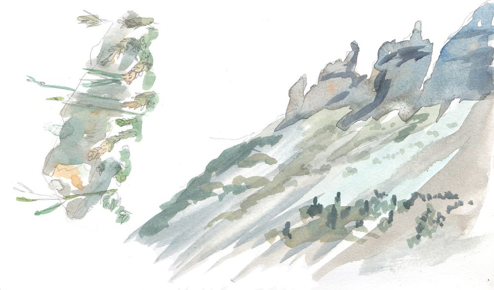Watercolour sketches of small plants and a mountain range at the Ofenpass in Switzerland.