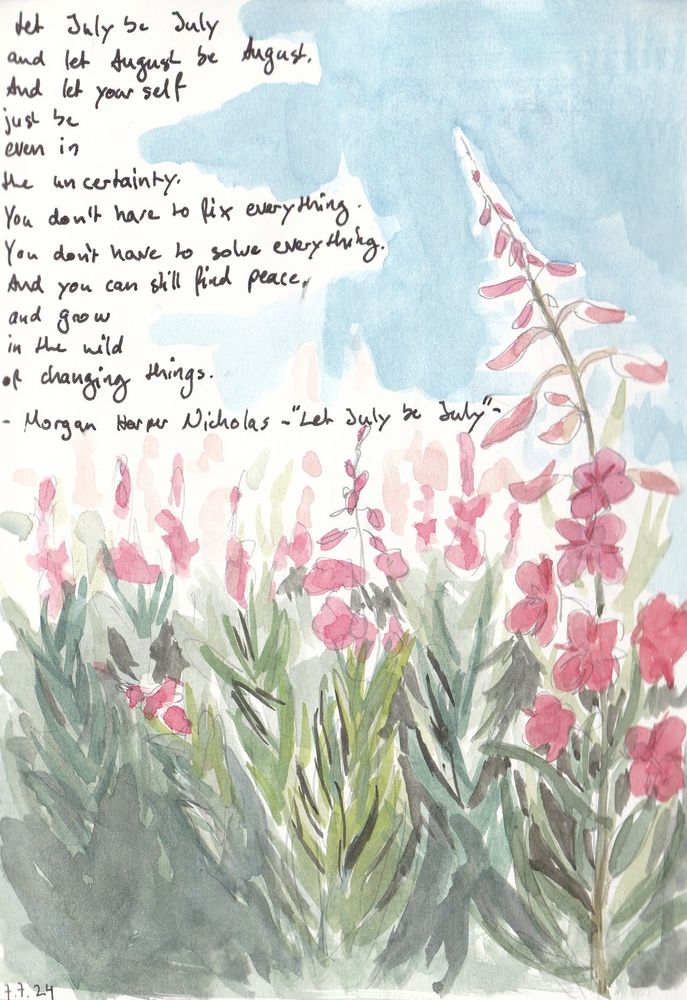 Watercolour sketches of fireweeds. In ink parts of the poem let july be july by morgan haper nichols are written on the left side of the page