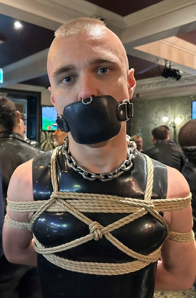 Troy is bound in a rope harness while wearing shiny black latex. He has a chain around his neck and a large black leather gag keeping him silent. His prominent septum piercing rests in front of the tightly buckled gag.