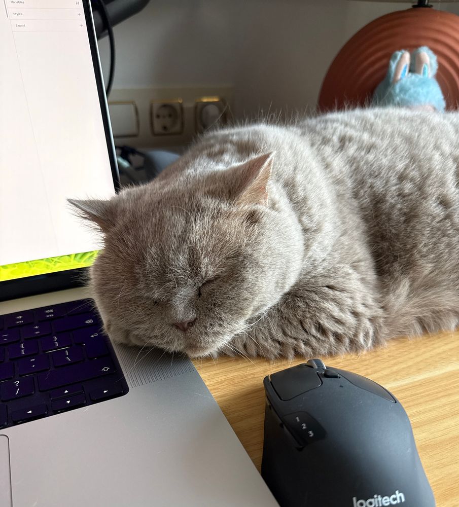 A cat sleeping in the laptop keyboard