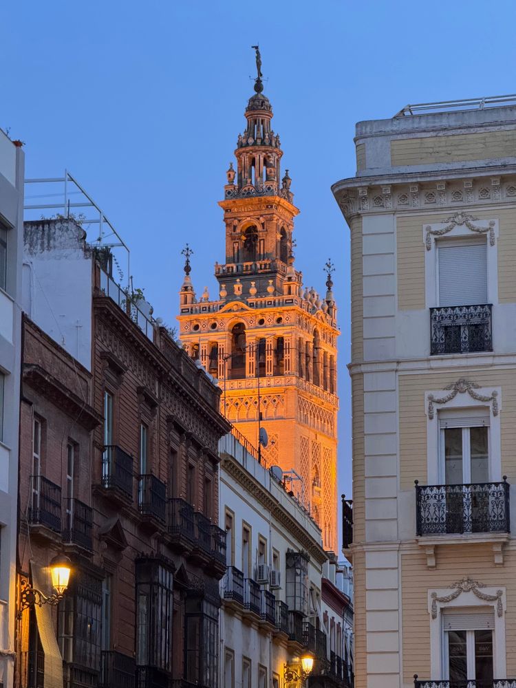 Seville buildings with the Giralda Tower in the background