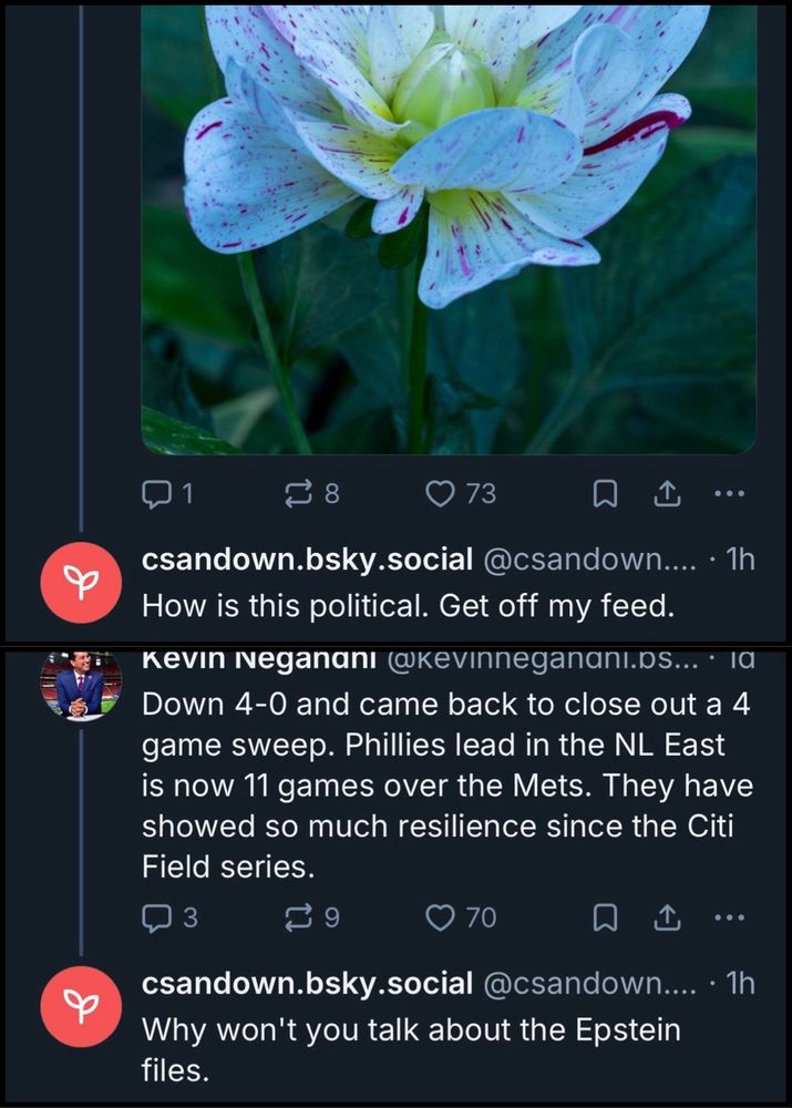 Screenshot of two Bluesky posts. First post shows a photo of a white lily with purple speckles, and csandown.bsky.social responds “How is this political. Get off my feed.” Below that, Kevin Negandhi posts about baseball: “Down 4-0 and came back to close out a 4 game sweep. Phillies lead in the NL East is now 11 games over the Mets. They have showed so much resilience since the Citi Field series.” csandown.bsky.social replies “Why won’t you talk about the Epstein files.“​​​​​​​​​​​​​​​​