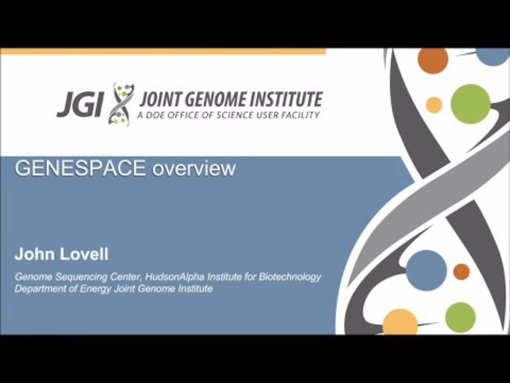 GENESPACE (BGA24)