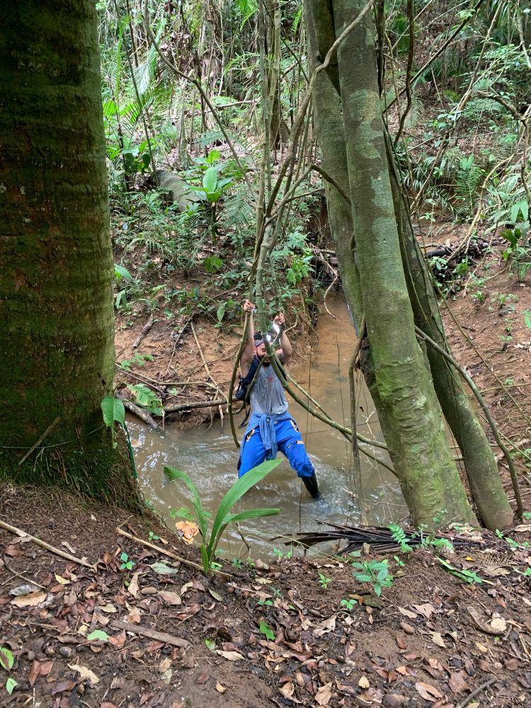 Me (a fool) trying to cross a small tropical creek. I am hanging from two vines to attempt swinging across the creek. Legs are submerged with little hope of successful crossing