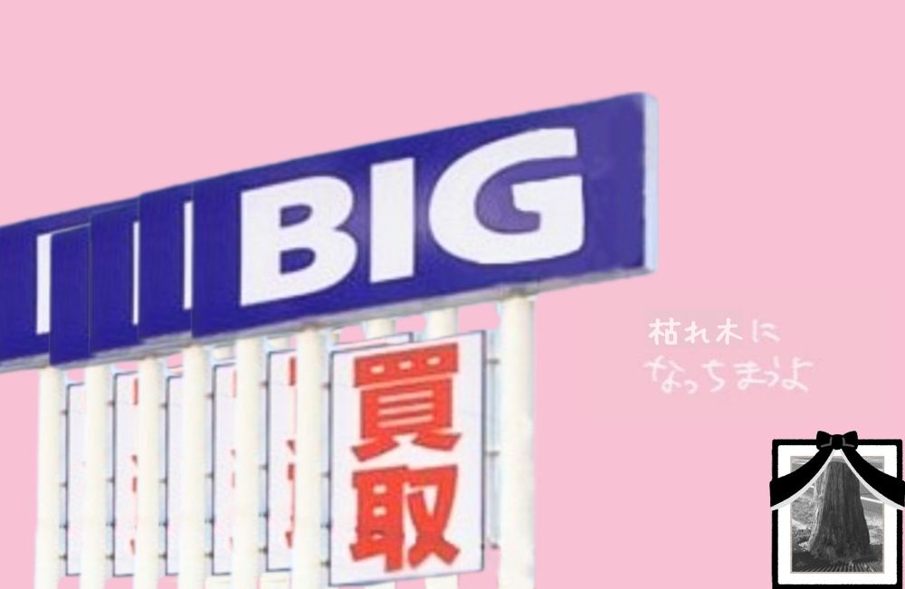 ビッグモーター