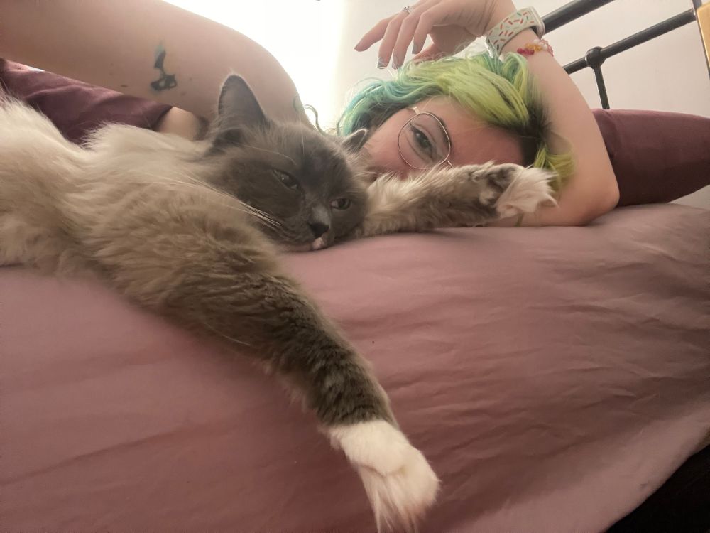 A selfie of a Ragdoll cat splayed out on a bed with arms out and a woman with green hair peeking out from behind him 