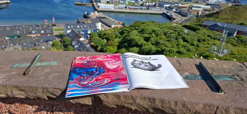Photo of Physics World Quantum Briefing on the island of Helgoland.