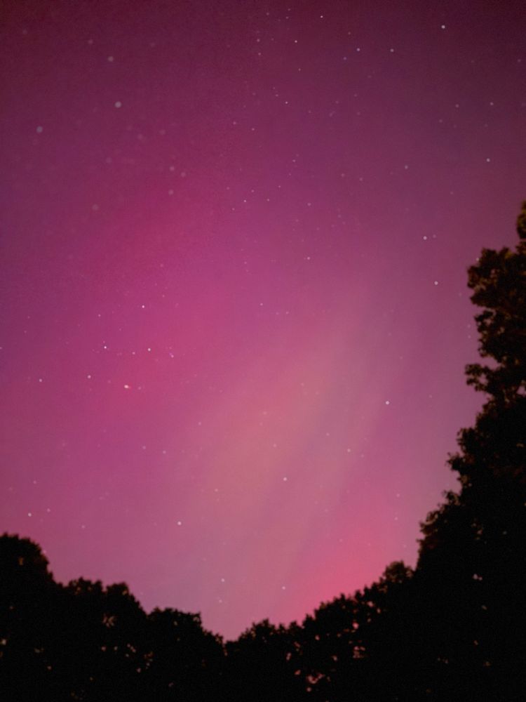 A photo of the star speckled night sky, dappled pink and green light playing in an aurora surrounded by dark tree silhouettes 